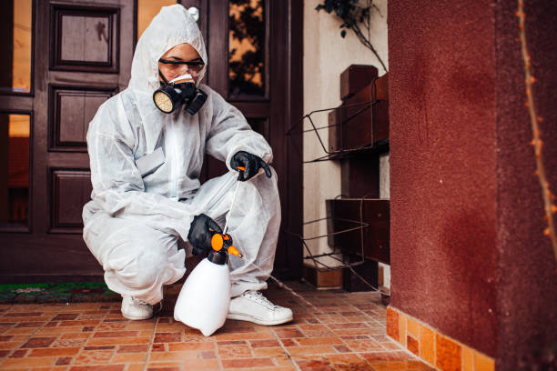 Reliable Ant Control contractor in Grantville, GA by Nex Pest Control