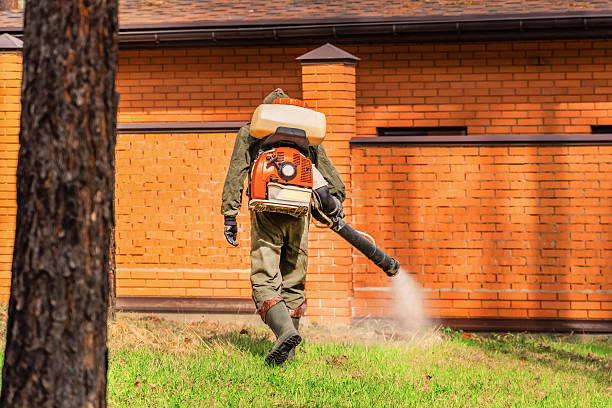 Trusted Bed Bug Control service in Grantville, GA - Nex Pest Control